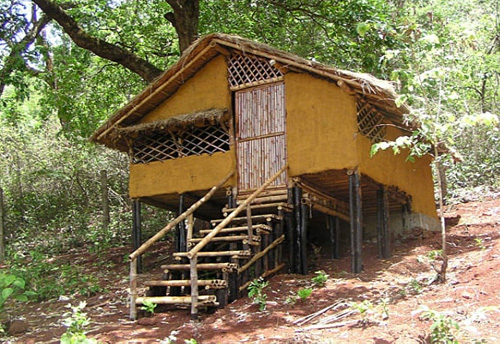 Explore Dandeli Wildlife Sanctuary